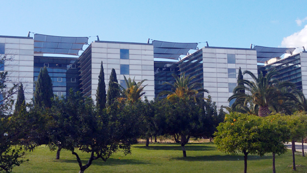 Grado en economia murcia