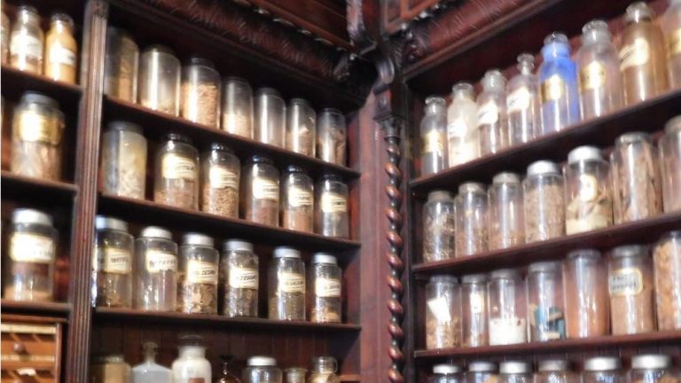 Clases particulares Grado en farmacia