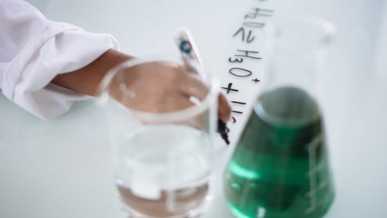 Tecnología de los alimentos